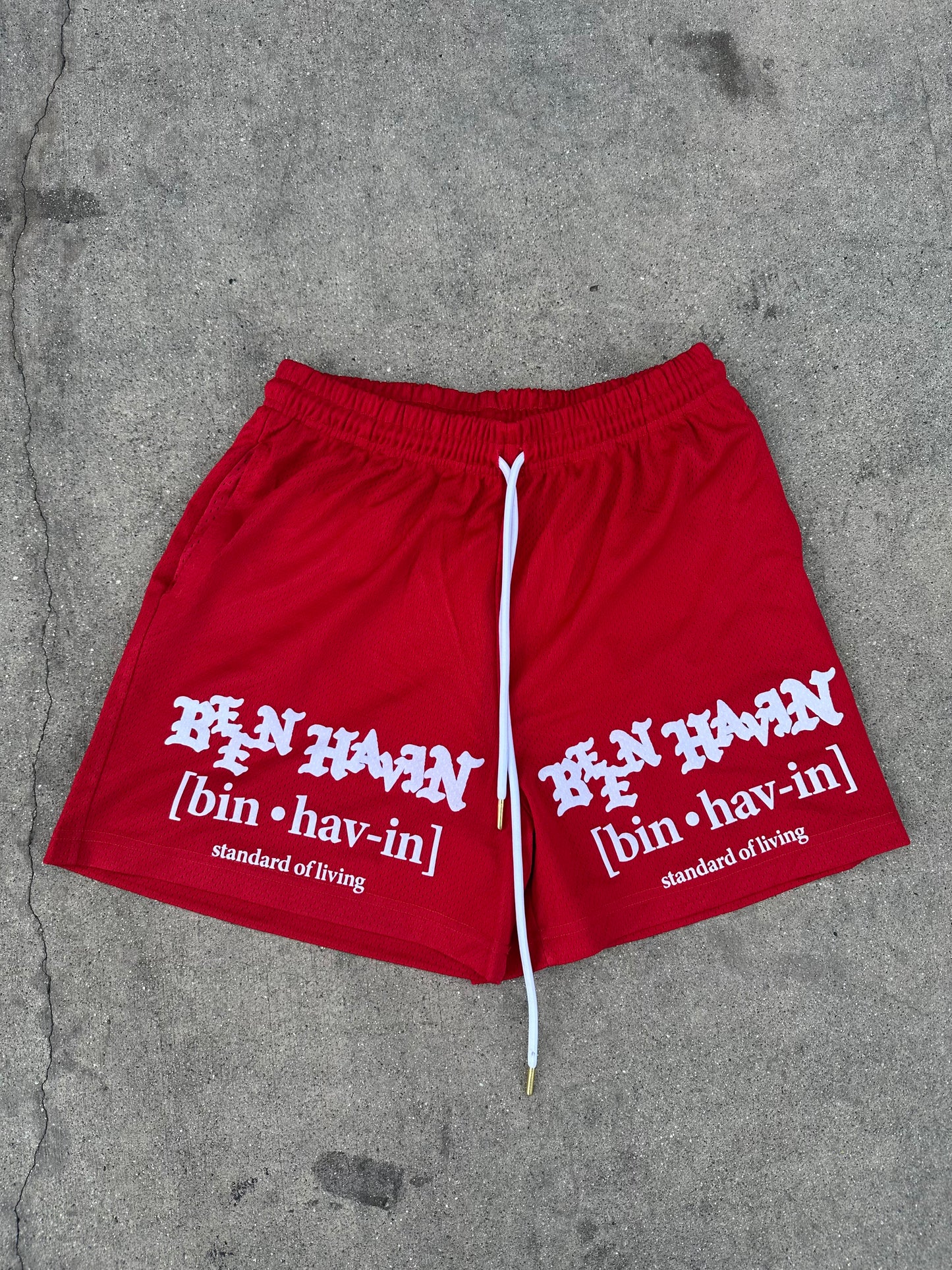 Standard of living basketball shorts