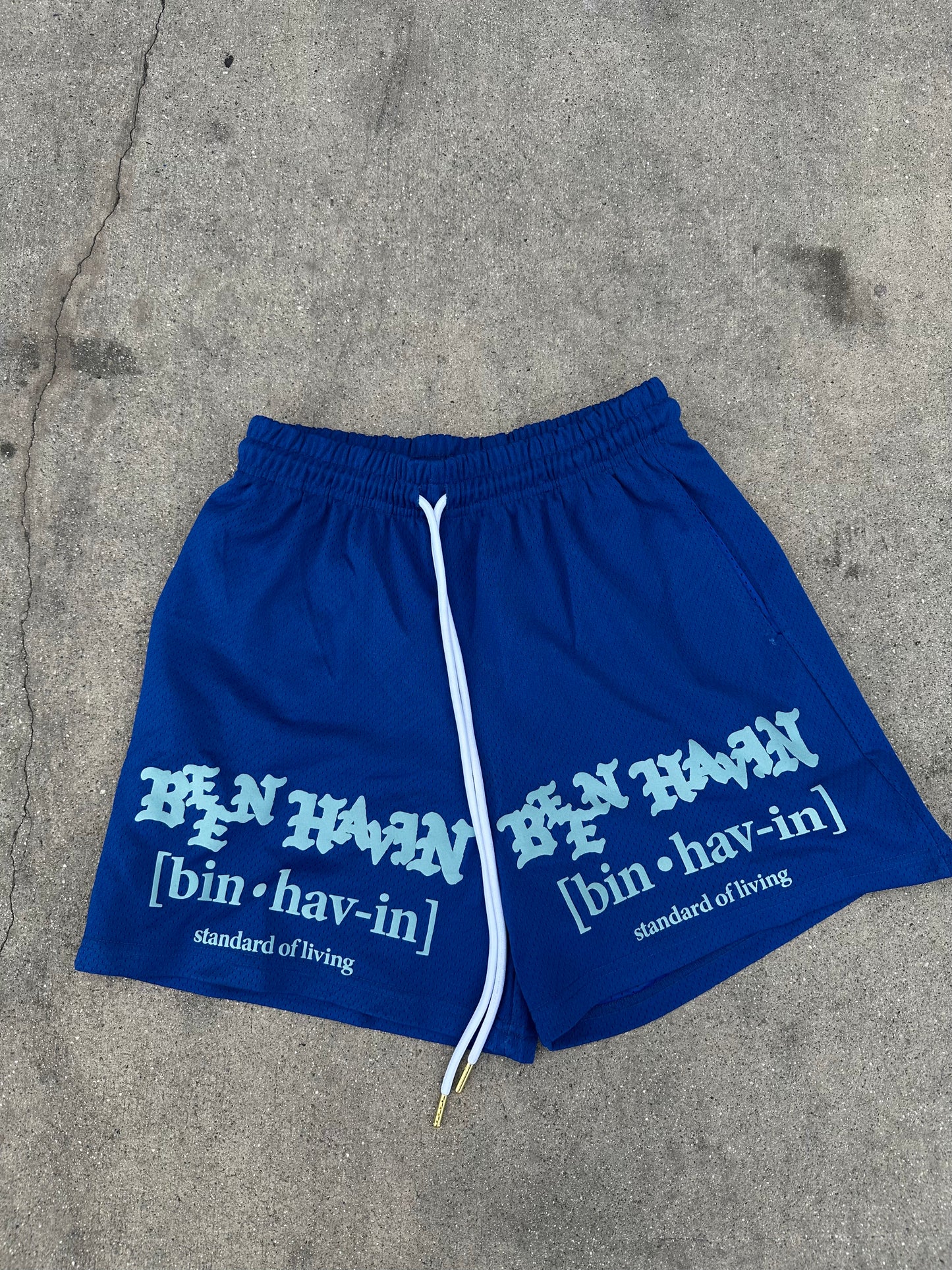 Standard of living Basketball shorts