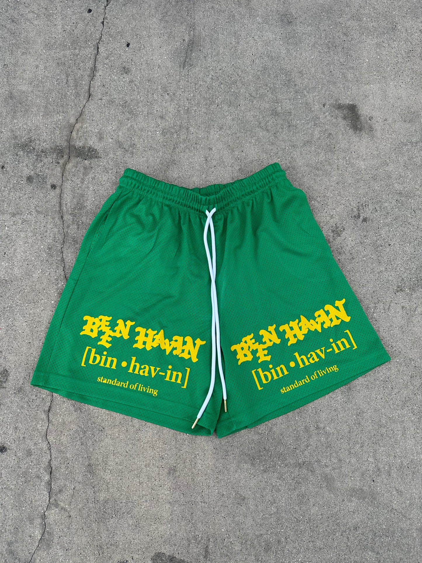 Standard of living Basketball shorts