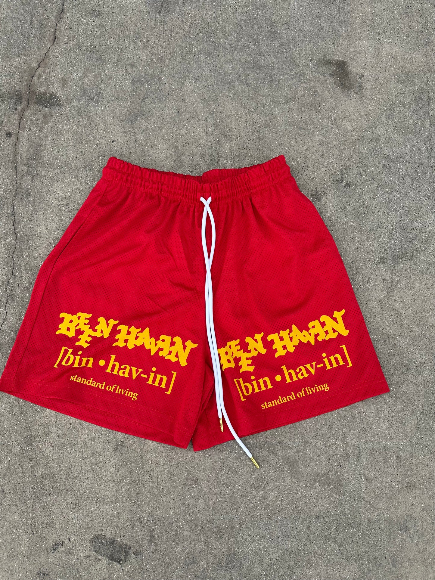 Standard of living Basketball shorts