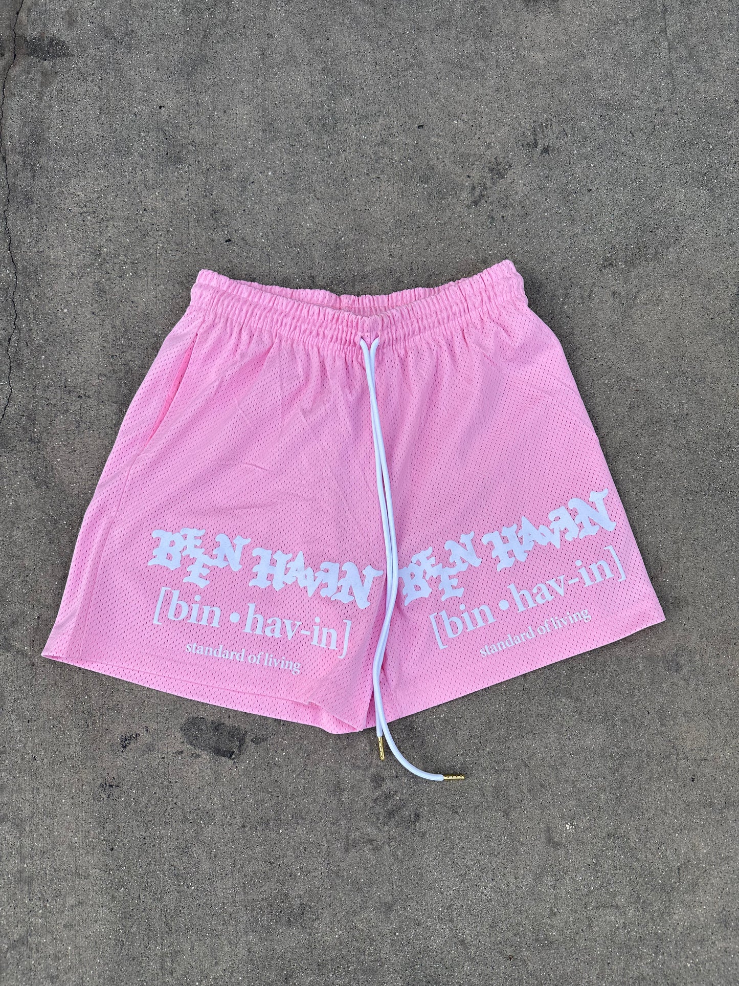 Standard of living basketball shorts