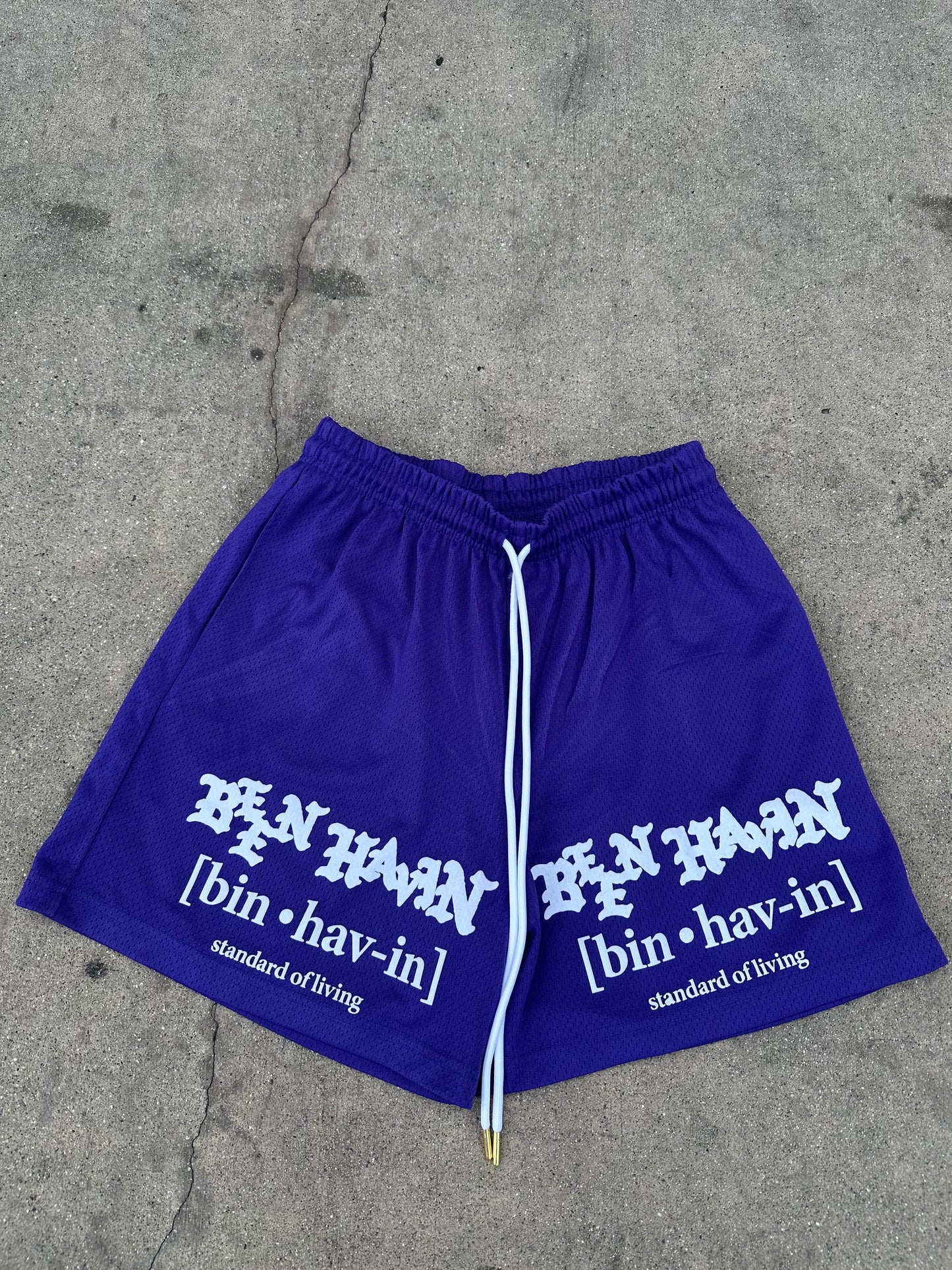 Standard of living basketball shorts