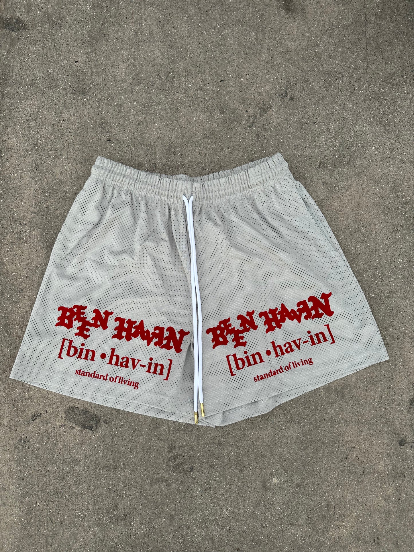 Standard of living Basketball shorts