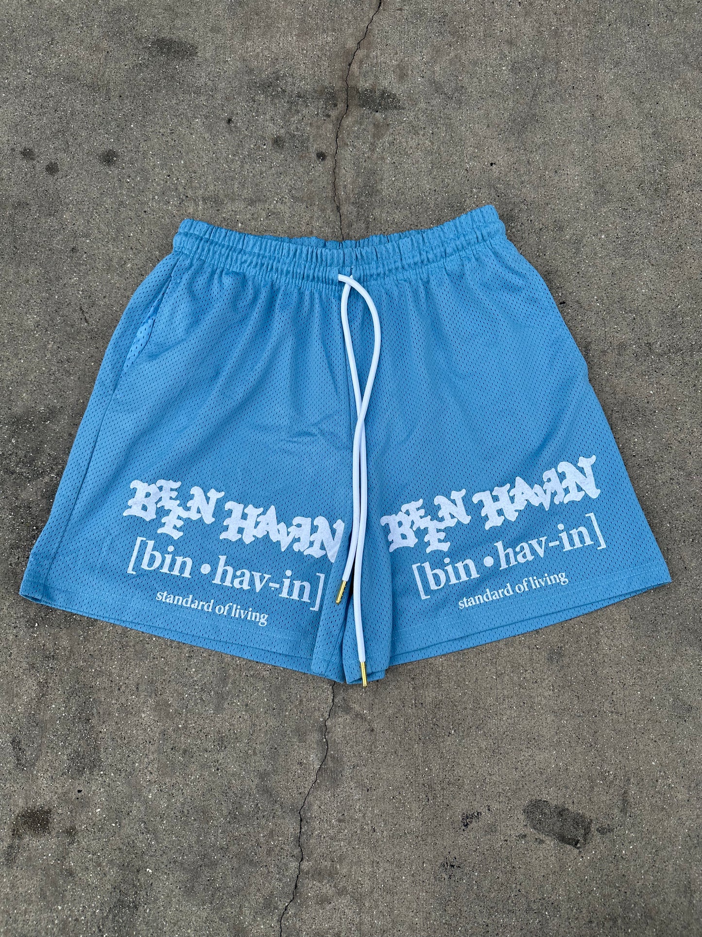 Standard of living basketball shorts