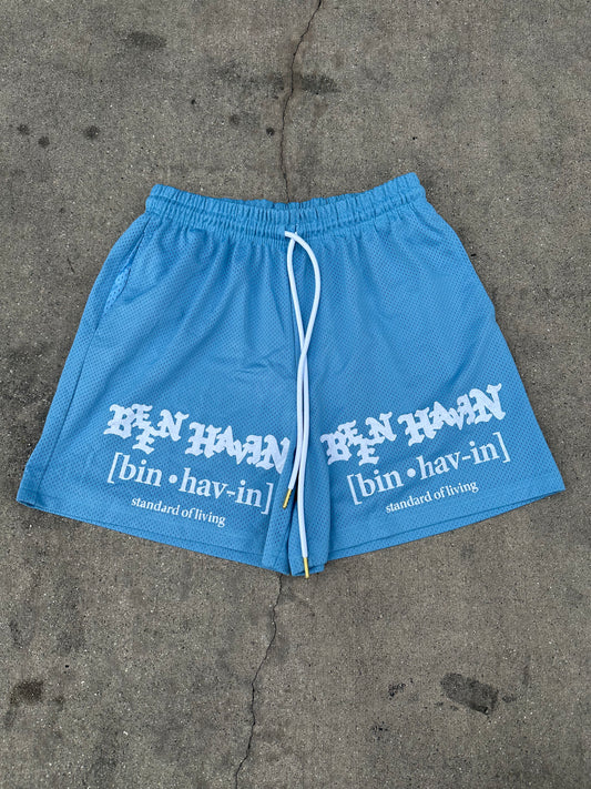 Standard of living basketball shorts