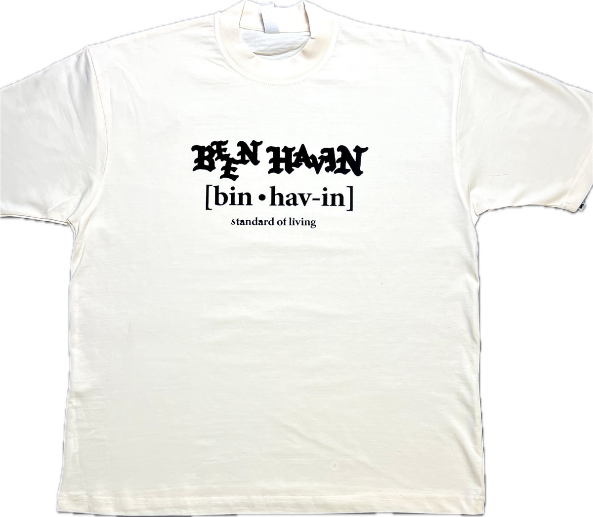 Standard of Living T-Shirt